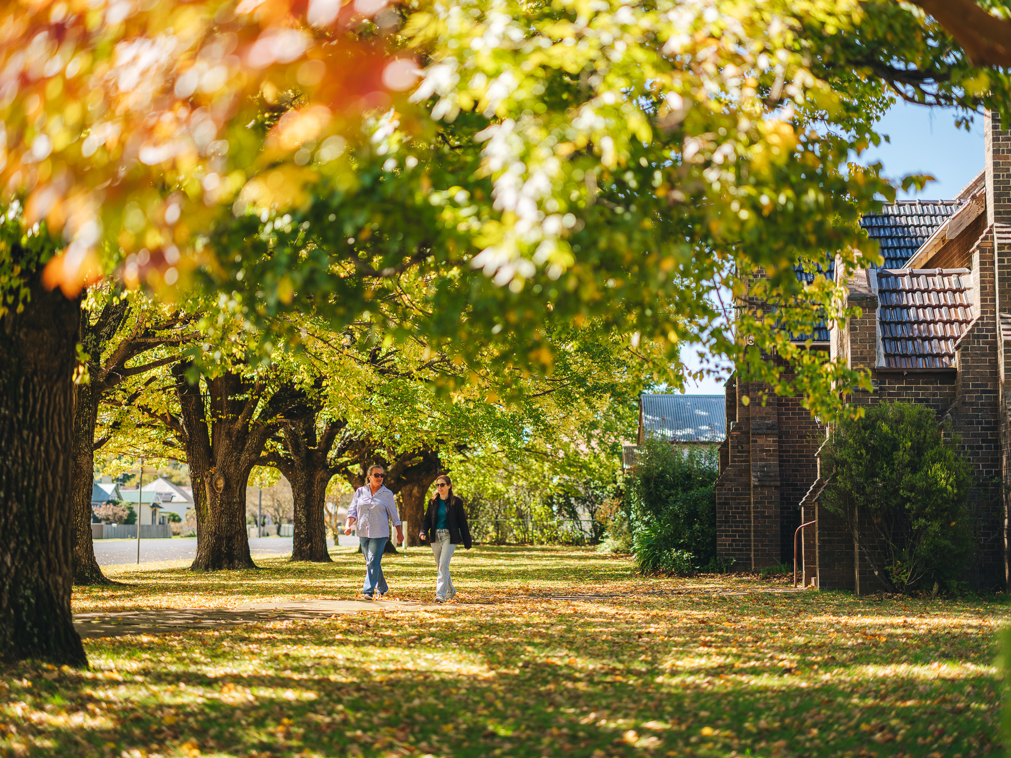 Residents walking beneath autumn trees in the New England high country